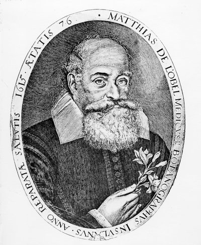 Obeli Mátyás alkotó: Francis Delaram